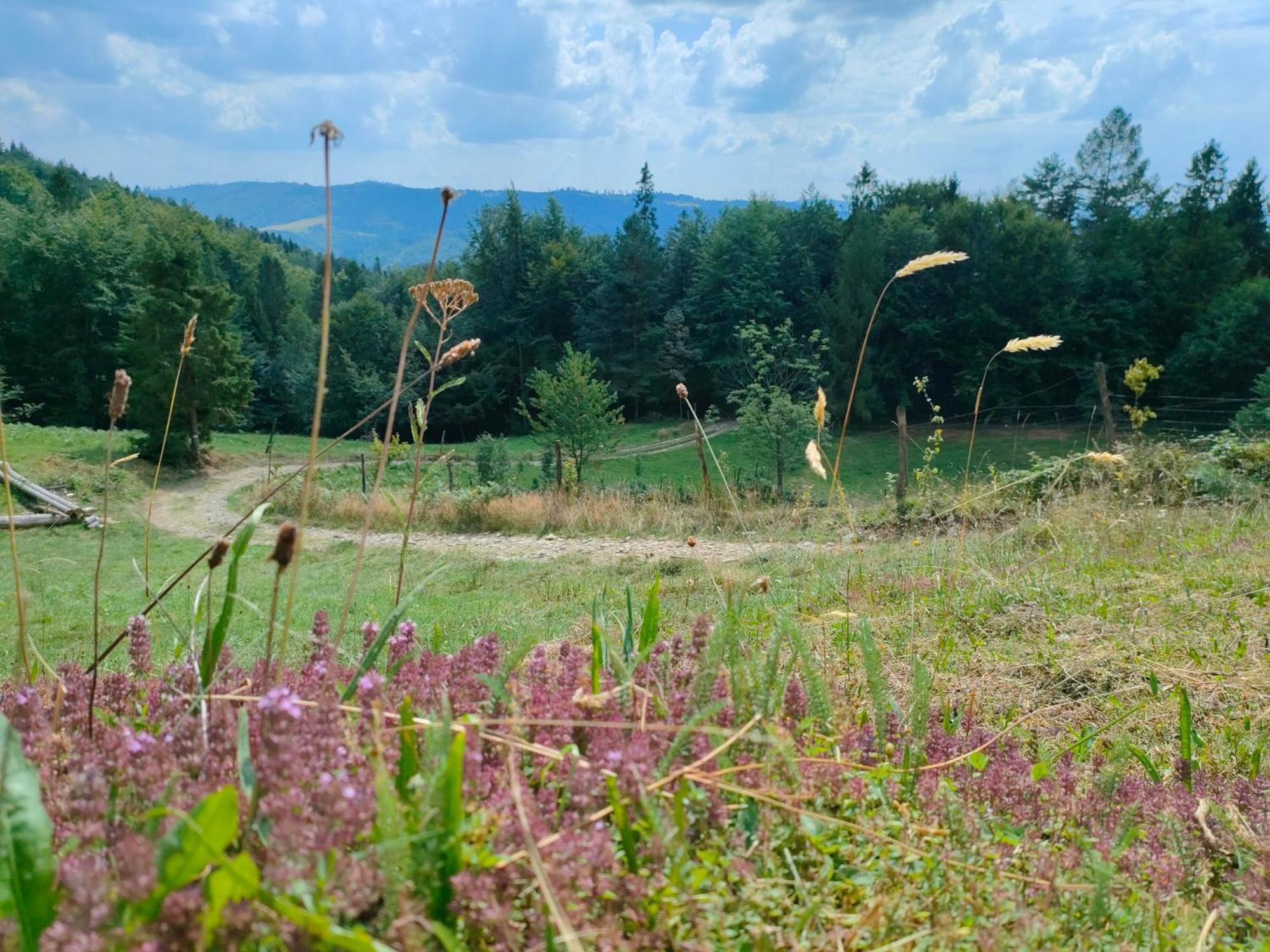 Dom Na Gorce - Apartamenty W Beskidach Górki Wielkie Kültér fotó